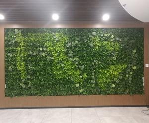 软件园植物墙